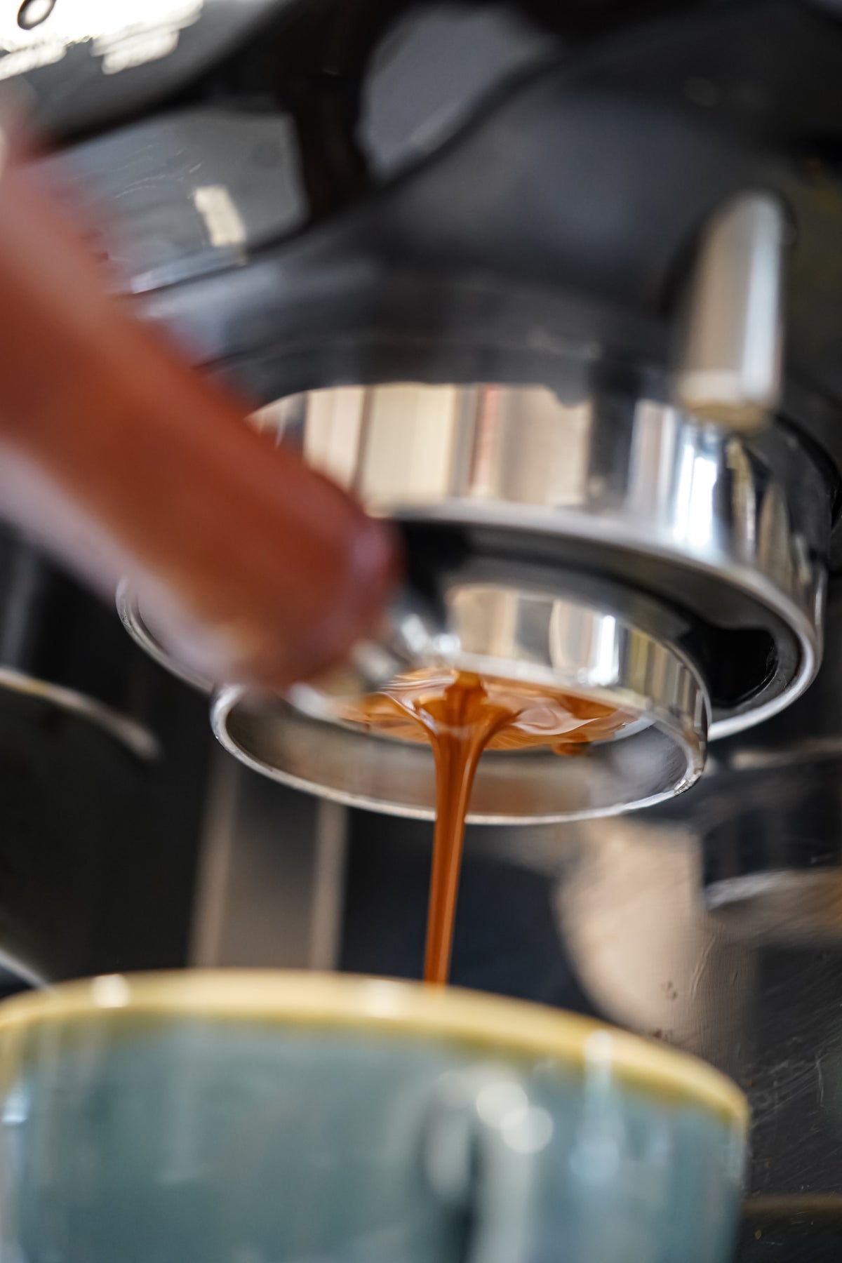WTD - What the Decaf - Mexico